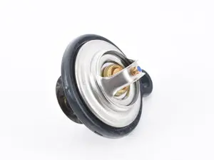 Thermostat - 80°C