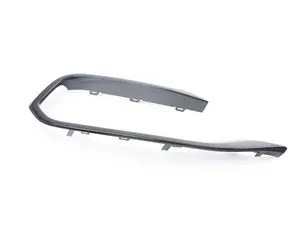 Genuine BMW Foglight Trim