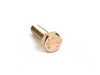 ES#15172 - 07119913662 - Bolt - See MOQKT - Genuine BMW - BMW