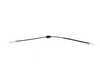 ES#252056 - 191957803D - Speedometer Cable - 1100mm Without EGR counter - Cofle - Volkswagen