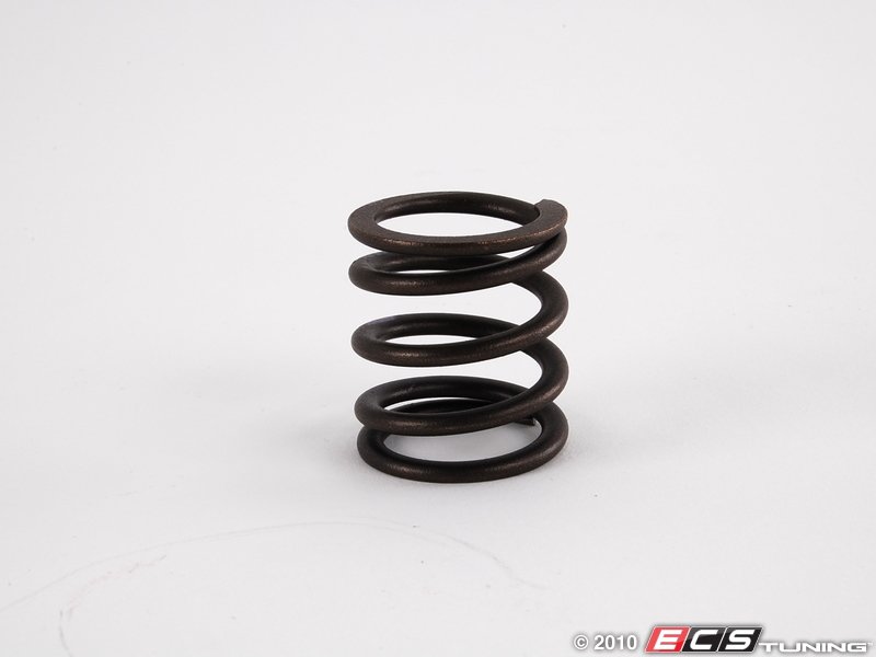 Genuine Volkswagen Audi 038109623F Outer Valve Spring Priced Each