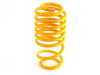 ES#2102366 - 35210005 - KW V3 Series Coilover Kit - Double Adjustable Dampening - The ultimate in coilover technology featuring double adjustable dampening - KW Suspension - Audi Volkswagen