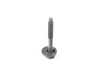 ES#2786396 - WHT007527 - BOLT - Genuine Volkswagen Audi - 