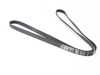 ES#4398982 - 99610215168 - Accessory Belt (2115 MM) - Accessory drive belt for cars with air conditioning (I573 option code) - Genuine Porsche - Porsche