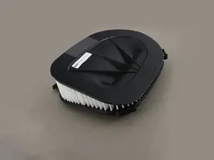 F25 Engine air filter