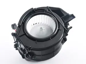 Blower Motor