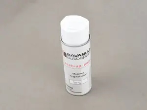 Touch Up Paint - 12 Oz Spray Can 