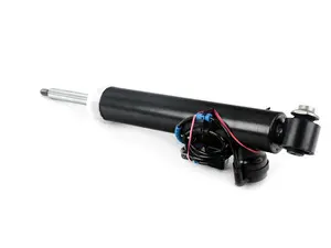 SHOCK ABSORBER, REAR