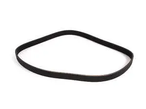 Multi Rib Accessory Belt