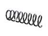 ES#205604 - 33536768126 - Coil Spring - Genuine BMW - BMW