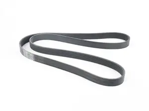 Accessory Belt