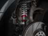 ES#3624746 - 027966ECS01 - Adjustable Damping Performance Coilover System - Audi B6/B7 A4/S4 - Take control of your ride while going low with our sport-tuned coilover system! - ECS - Audi
