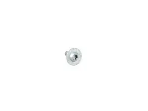 FILLISTER HEAD SCREW