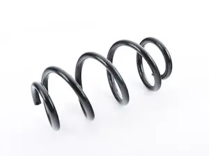 Front Spring - Priced Each 