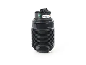 Rear Air Spring - Left