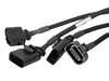 ES#3972083 - 77-46407 - Scorcher GT Power Module - Increases of +10 HP / +20 lbs. x ft. torque - AFE - Volkswagen