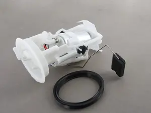 Fuel Pump Assembly