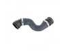 ES#2802236 - 17127565780 - Coolant hose - From radiator to thermostat - Rein - BMW