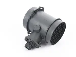Mass Air Flow Sensor (MAF)