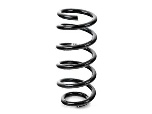 Rear Coil Spring - Priced Each