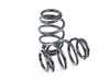 ES#3675603 - S-07E-BR - BR Series Coilover Suspension Kit - Extreme Low - Featuring 30 levels of adjustment and performance spring rates and valving - BC Racing - Audi