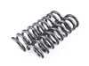 ES#3675526 - E10-20-036-01-22 - Pro-Kit Performance Springs - Eibach's legendary spring system that dramatically improves both a vehicle's performance and appearance. - Eibach - BMW