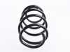 ES#3219216 - 36-129171 - B3 Front Coil Spring - Priced Each - Simply and inexpensively replace sagging or cracked springs. Replacement in pairs is recommended. - Bilstein - BMW