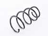 ES#3219252 - 37-161880 - Front Spring - Priced Each - Black, powder-coated B3 replacement coil spring - Bilstein - BMW