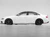 ES#3675379 - 028398ECS01 - Audi B8/B8.5 A4/S4 Rear Window Spoiler - Carbon Fiber  - (NO LONGER AVAILABLE) - Add subtle carbon fiber styling to complete the look! - ECS - 