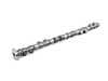 ES#21975 - 11311311907 - E34 Camshaft Camshaft - Genuine BMW - BMW