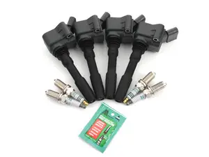 Ignition Service Kit