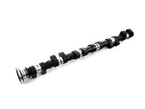 ES#3072383 - 0415E1040-01 - Schrick Intake Camshaft 304 Degree/14.0mm Lift - For use in professionally-built S54 race engines - Schrick - BMW