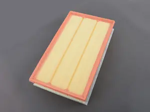 Engine Air Filter