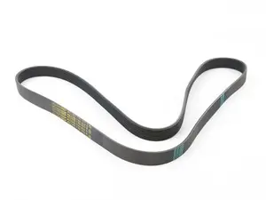 E53 Accessory Drive Belt