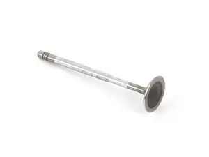 Intake Valve - Priced Each