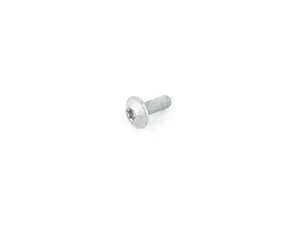 FILLISTER HEAD SCREW