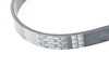 ES#2970629 - 11287604014 - Ribbed V-Belt  - (NO LONGER AVAILABLE) - 6K X 895 - Genuine BMW - 