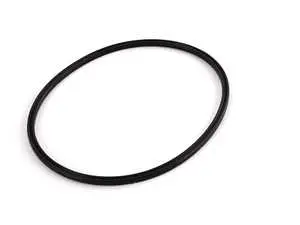 Fuel Pump Seal