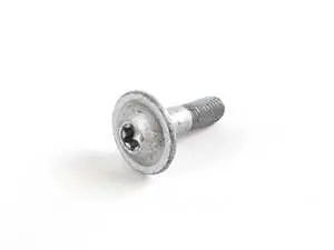 TORX BOLT
