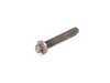 ES#21742 - 11287530315 - Torx Screw - Priced Each - Secures the belt tensioner - Genuine BMW - BMW