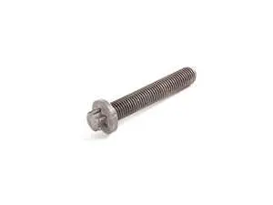 Torx Screw - Priced Each