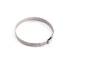 Throttle Body Boot Clamp - Priced Each