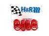 ES#1074 - 29996-2 - Race Springs Set - Aggressive looks with ultimate handling for your A4 Avant - H&R - Audi