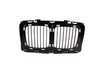 ES#77716 - 51131973825 - E34 Center Kidney Grille - Replace your old and damaged kidney grille for a factory appearance - Genuine BMW - BMW