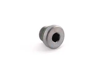 Transmission Drain Plug