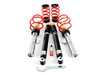 ES#3141272 - 33502412586 - JCW Sport Suspension Kit - Adjustable red spring sport Coilover kit. - Genuine MINI - MINI