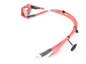 F22 Battery Cable - With Positive Pole