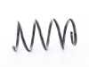 ES#50824 - 31336765110 - COIL SPRING - Replacement front spring - Genuine BMW - BMW
