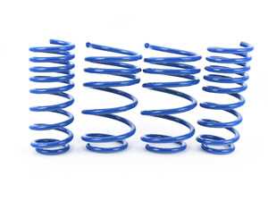 ES#2843613 - NM.558861 - RS-Alpha Spring Set - ALL4 - (NO LONGER AVAILABLE) - Lowering springs with a progressive rate - NM Engineering - 