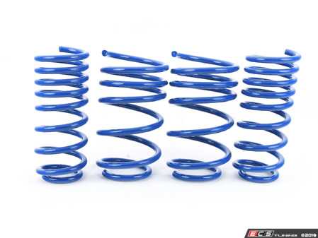 ES#2843613 - NM.558861 - RS-Alpha Spring Set - ALL4 - (NO LONGER AVAILABLE) - Lowering springs with a progressive rate - NM Engineering - 